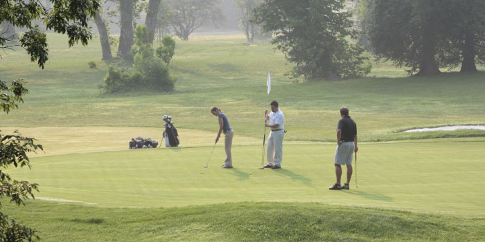 Golfers Golfing on a Golfcourse